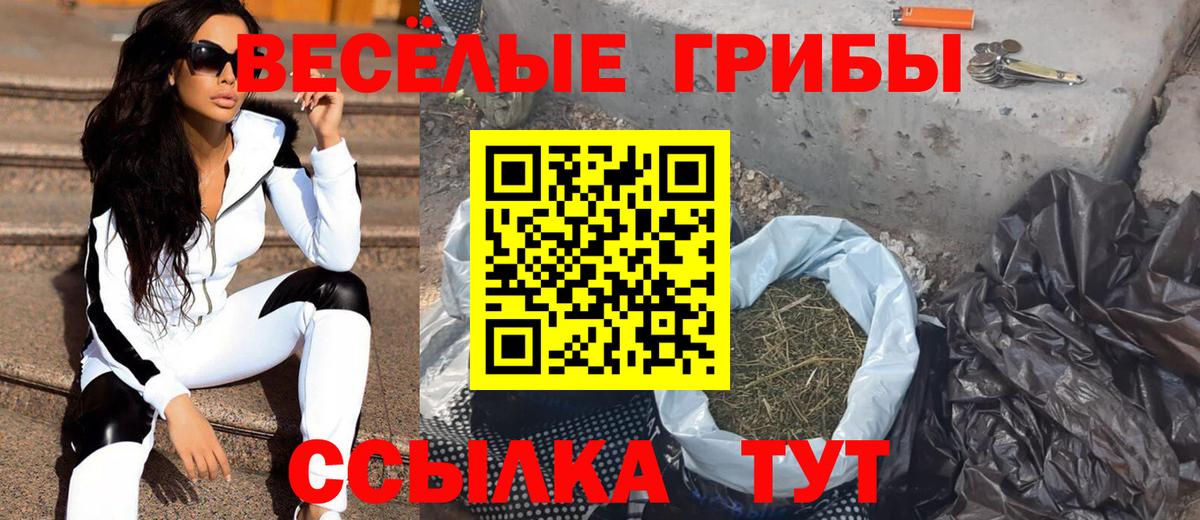 Псилоцибиновые грибы мицелий Миасс