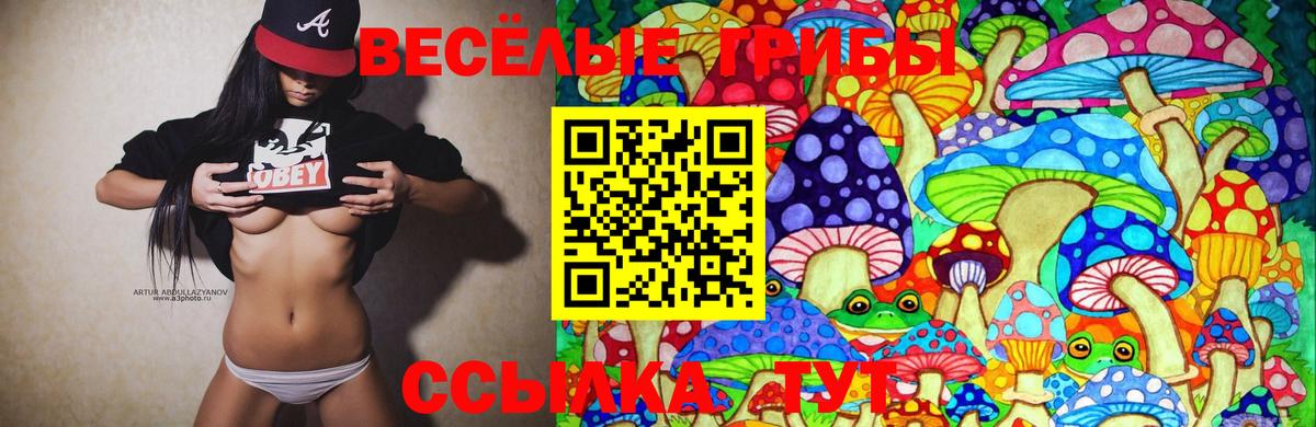 Галлюциногенные грибы Psilocybe  Вход с VPN  купить наркотики цена  Миасс 
